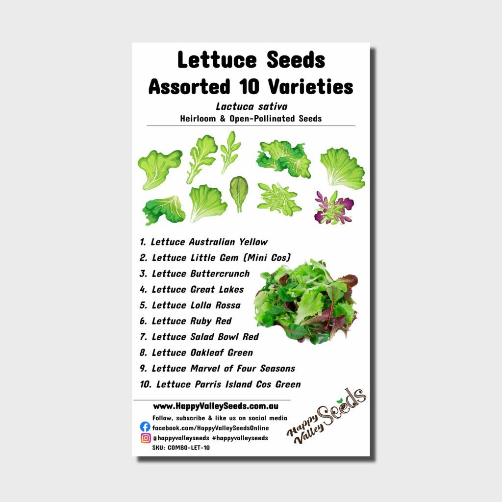 Lettuce Seeds - Assorted 10 Packs - Happy Valley Seeds
