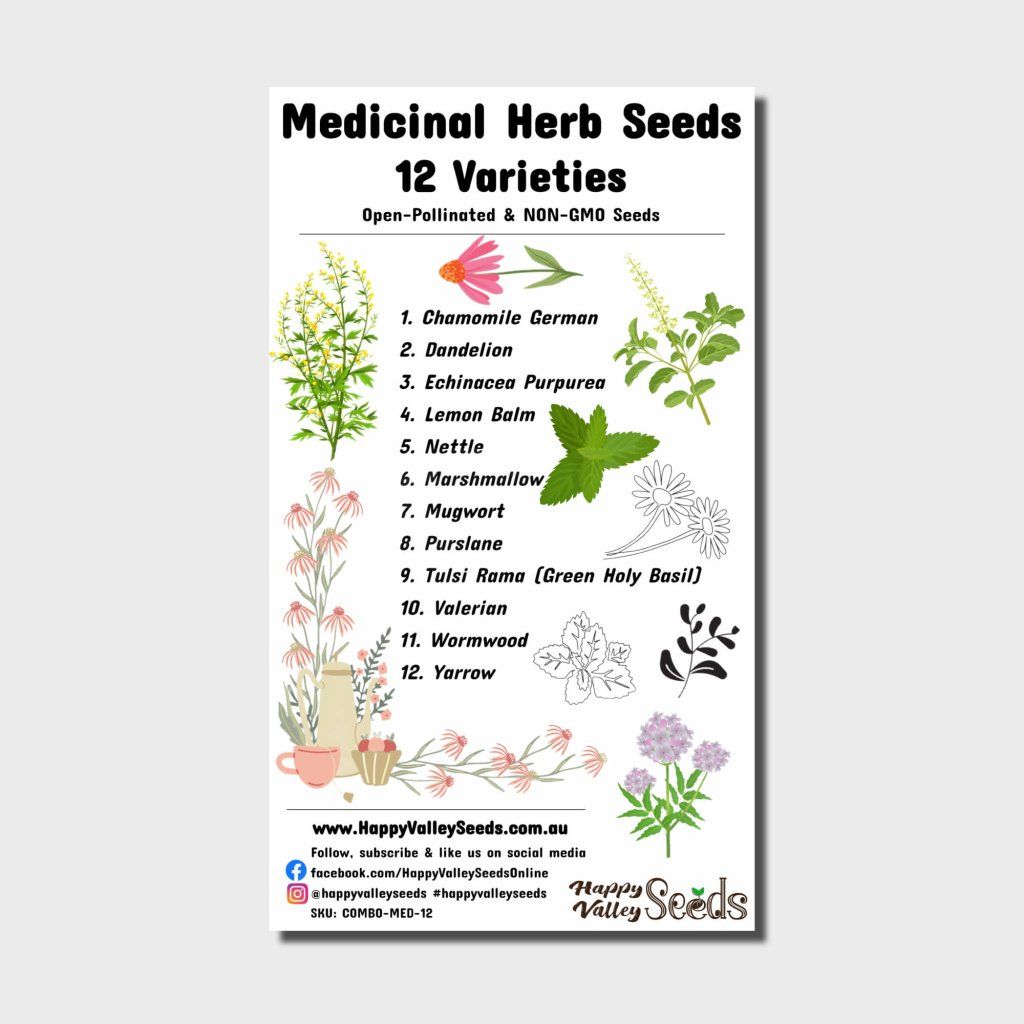 MEDICINAL Herb Seeds - 12 Packs