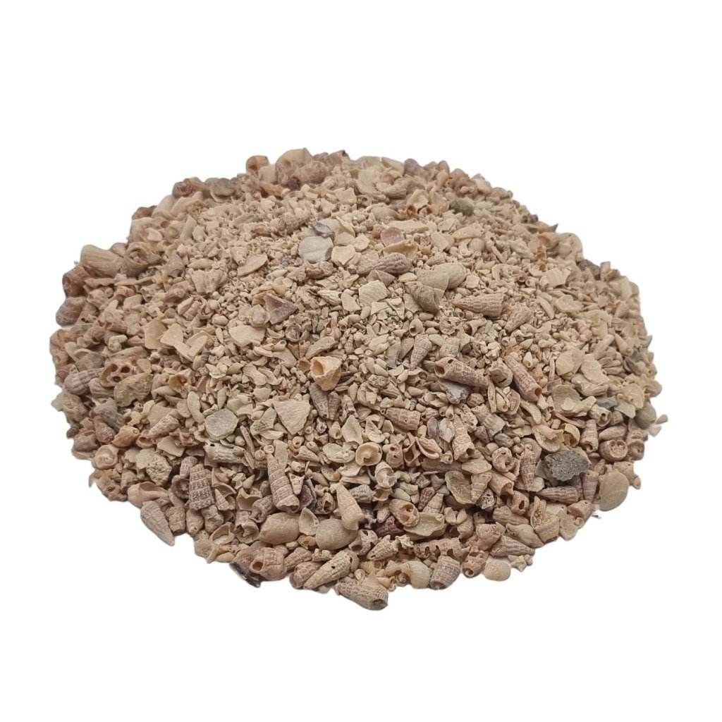Medium Shell Grit