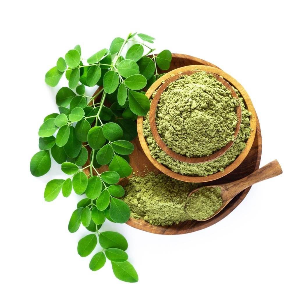 Moringa Tree seeds