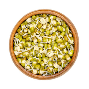 Mung Bean Seeds (Sprout)