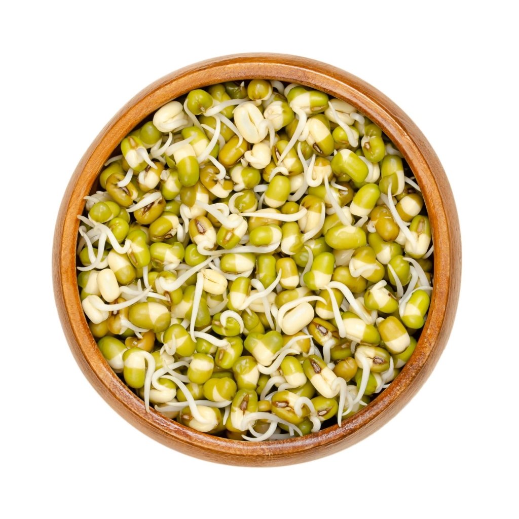 Mung Bean Seeds (Sprout) - Happy Valley Seeds