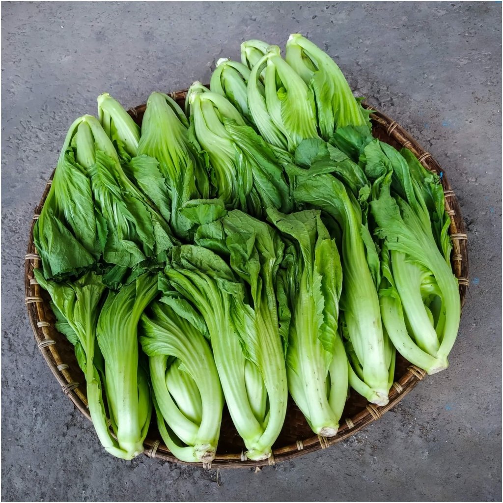 Mustard - Gai Choy (Swatow) seeds - Happy Valley Seeds