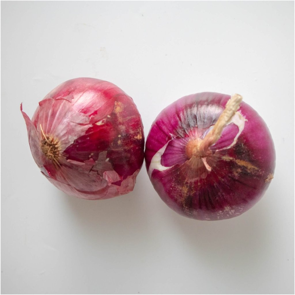 Onion - Amposta Purple seeds - Happy Valley Seeds