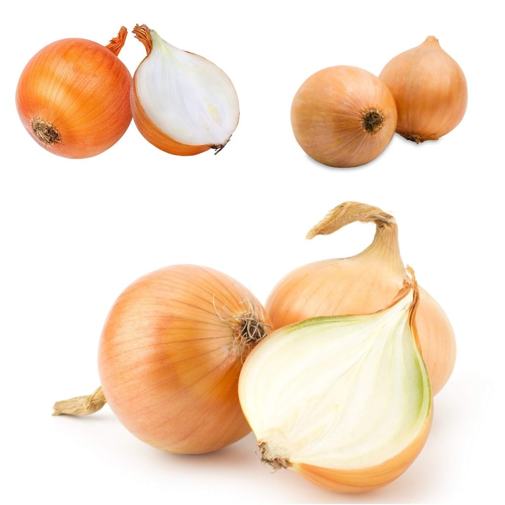 Onion - Extra Early Creamgold seeds - Happy Valley Seeds