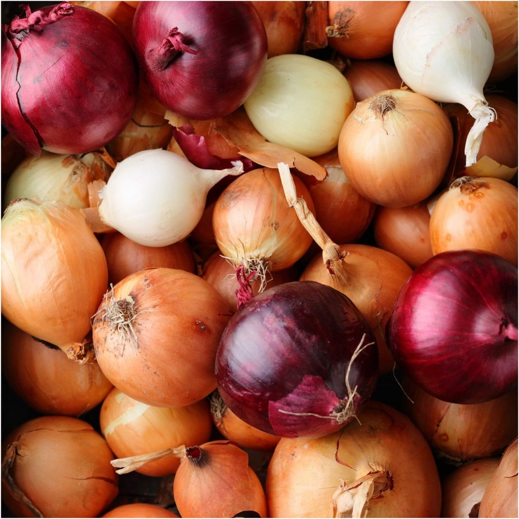 Onion - Heirloom Mix seeds - Happy Valley Seeds