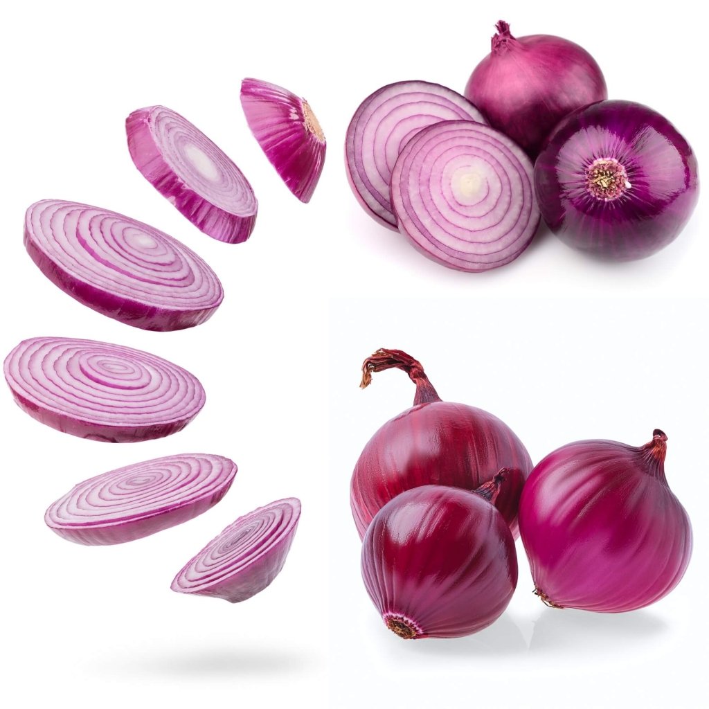 Onion - Red Rippa seeds - Happy Valley Seeds