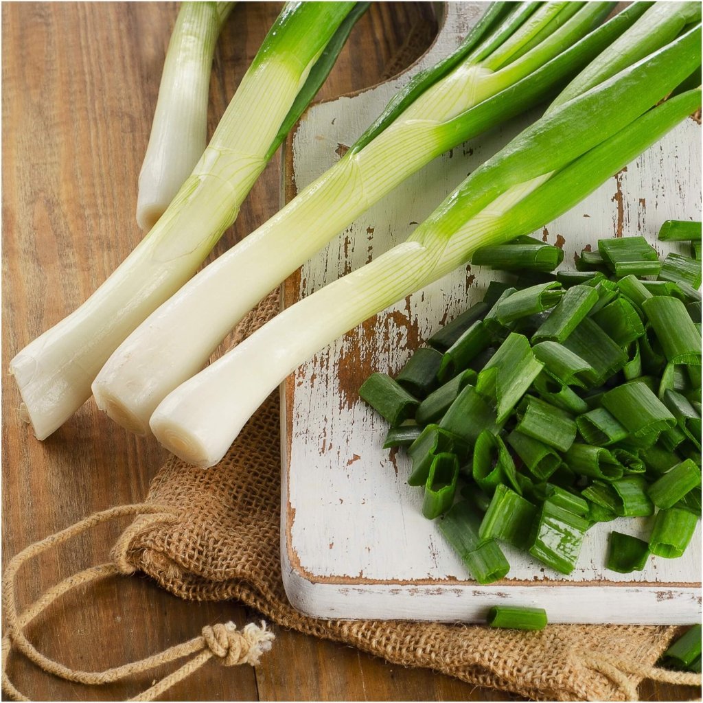 Onion (Spring) - Tokyo Long White seeds - Happy Valley Seeds