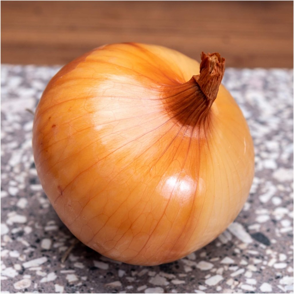 Onion - Yellow Spanish Early seeds - Happy Valley Seeds