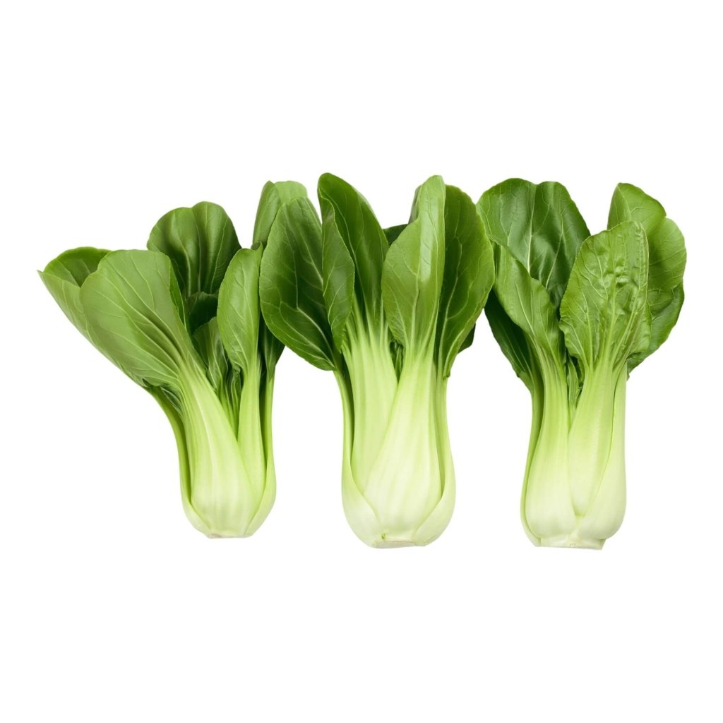 Pak Choi - Choko Green F1 seeds - Happy Valley Seeds