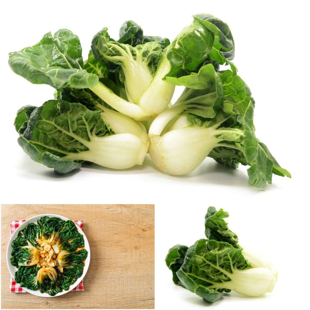 Pak Choi - Extra Dwarf seeds - Happy Valley Seeds