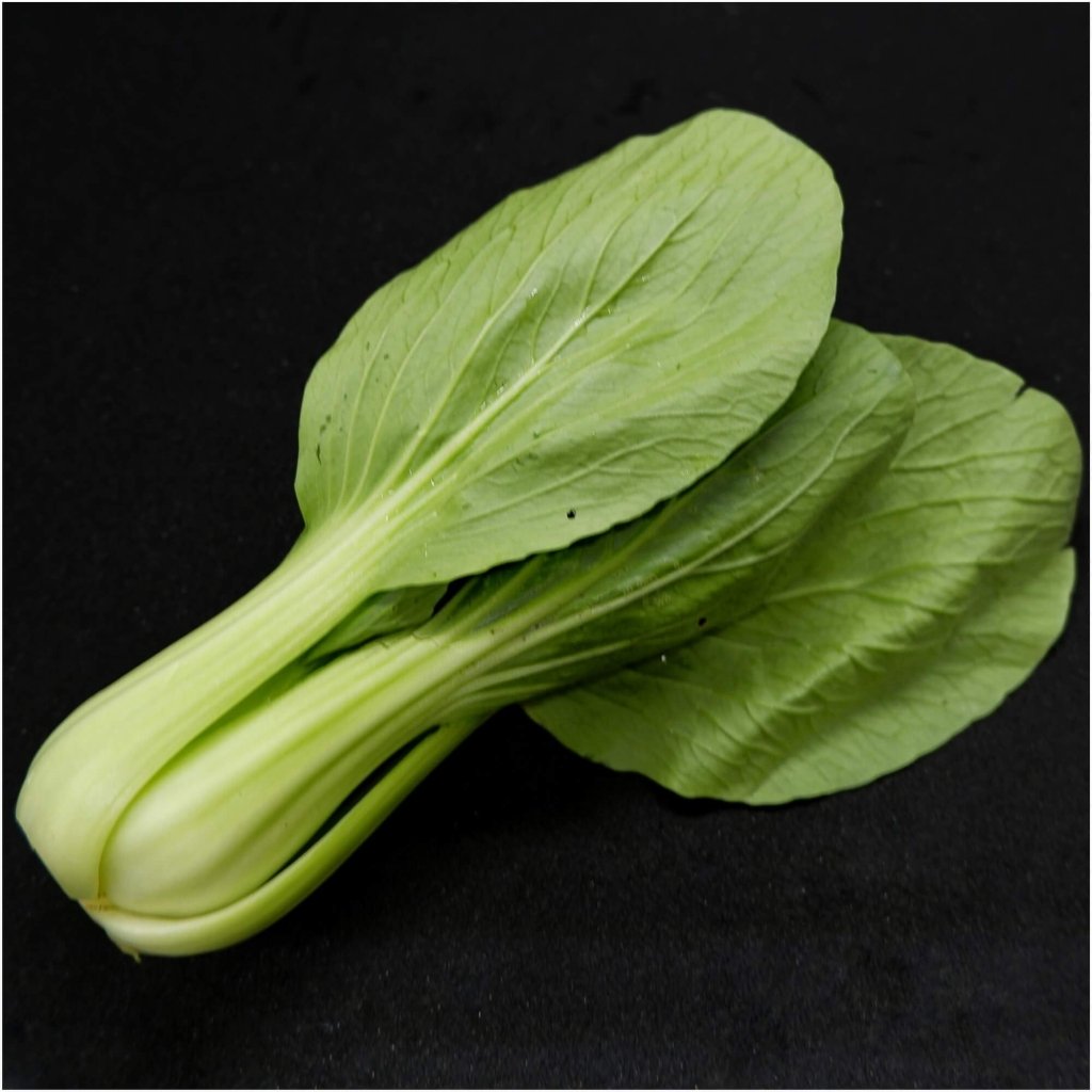 Pak Choi - Minto F1 seeds - Happy Valley Seeds