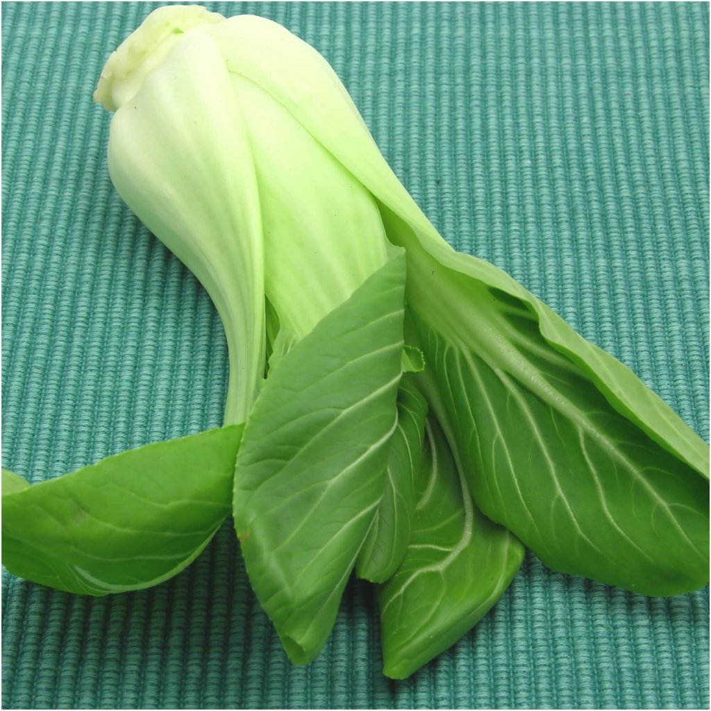 Pak Choi - Shuko Green F1 seeds - Happy Valley Seeds