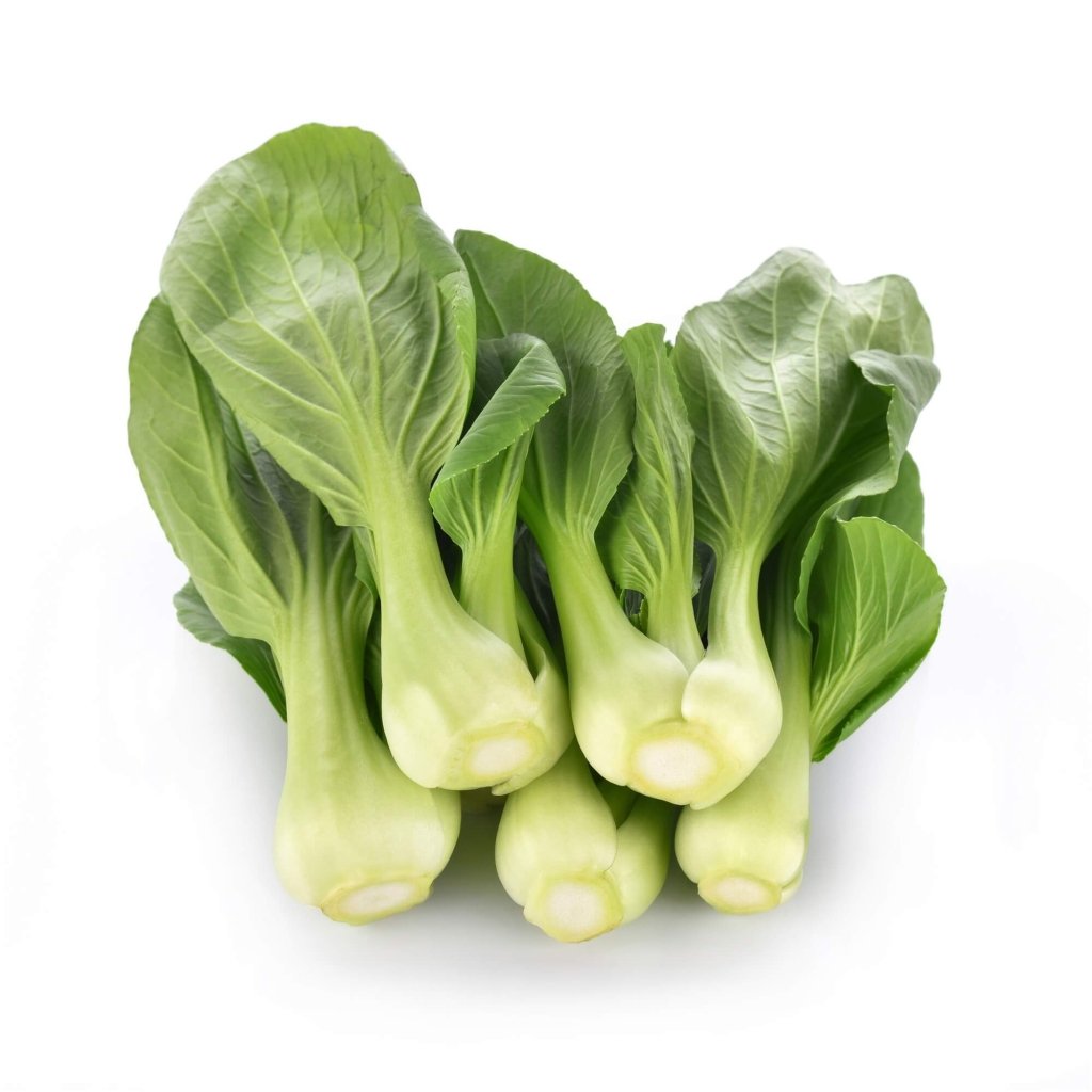 Pak Choi - Tonko Green F1 seeds - Happy Valley Seeds