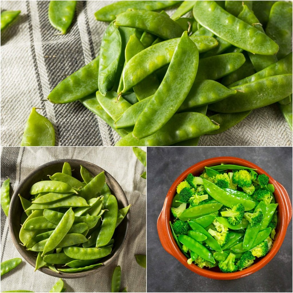 Pea (Snowpea) - Mammoth Melting seeds - Happy Valley Seeds