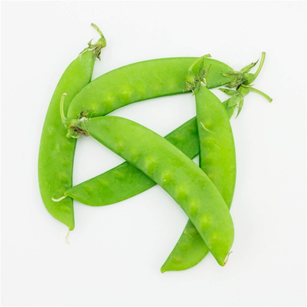 Pea (Snowpea) - Oregon Giant seeds - Happy Valley Seeds