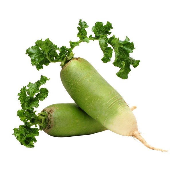 Buy Radish Chinese Green Meat Luobo seeds Online Happy Valley