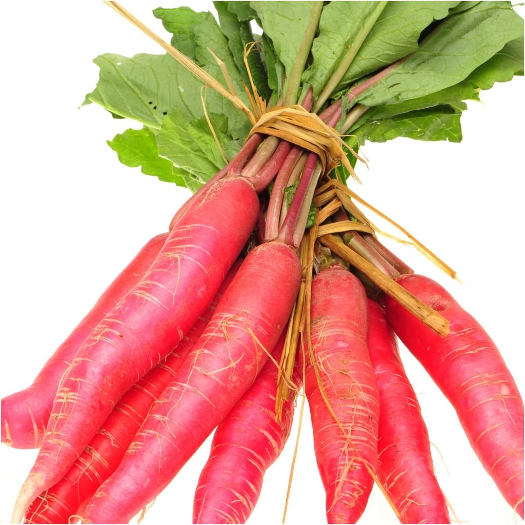 Radish - Fire Candle seeds - Happy Valley Seeds