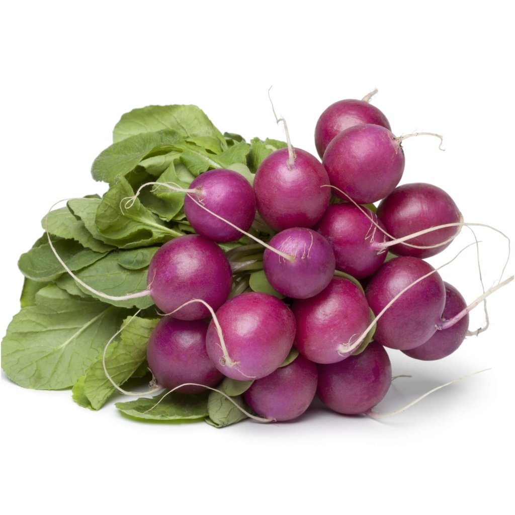 Radish - Purple Plum seeds - Happy Valley Seeds