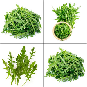Rocket - Wild seeds