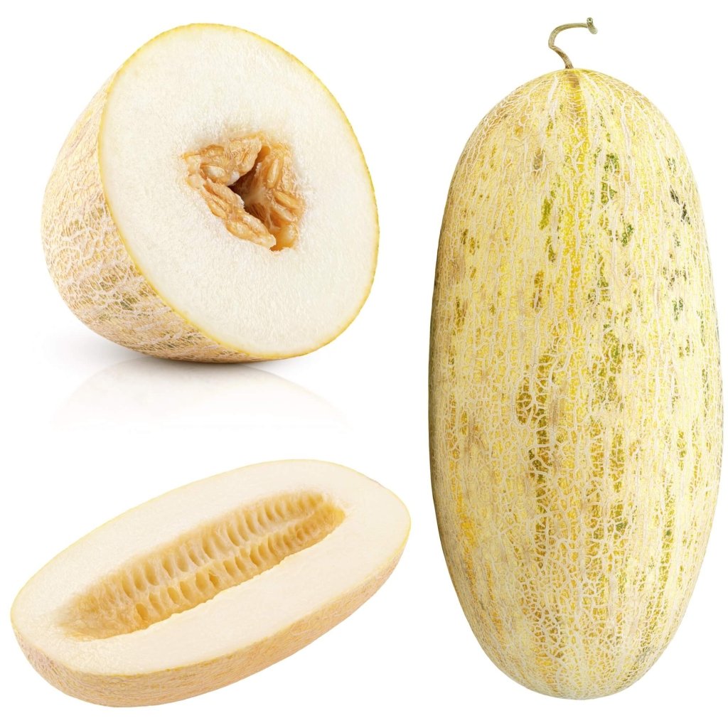 Rockmelon - Indian Cream Cobra Melon seeds - Happy Valley Seeds