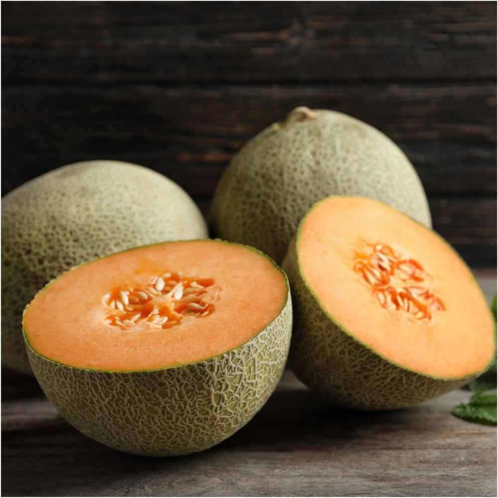 Buy Rockmelon Infinite Gold F1 Seeds Online | Happy Valley Seeds