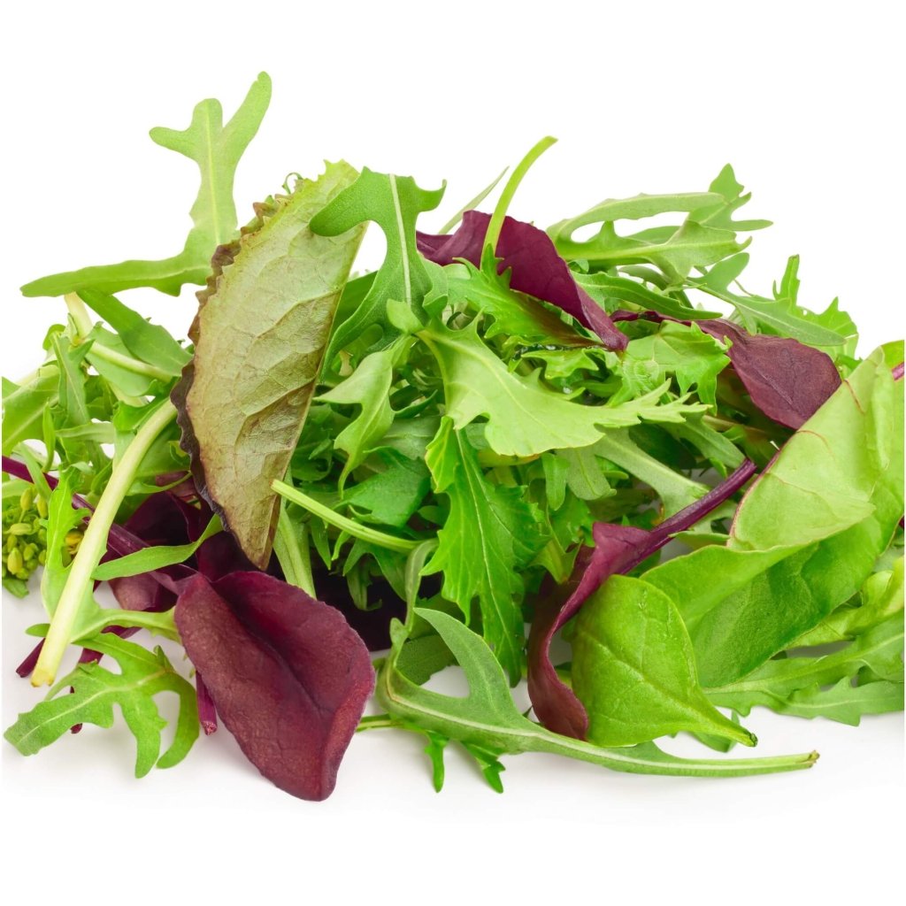 Salad Mix seeds - Happy Valley Seeds