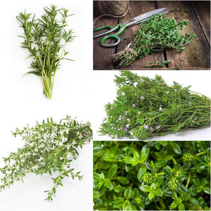 Savory Summer Midget seeds