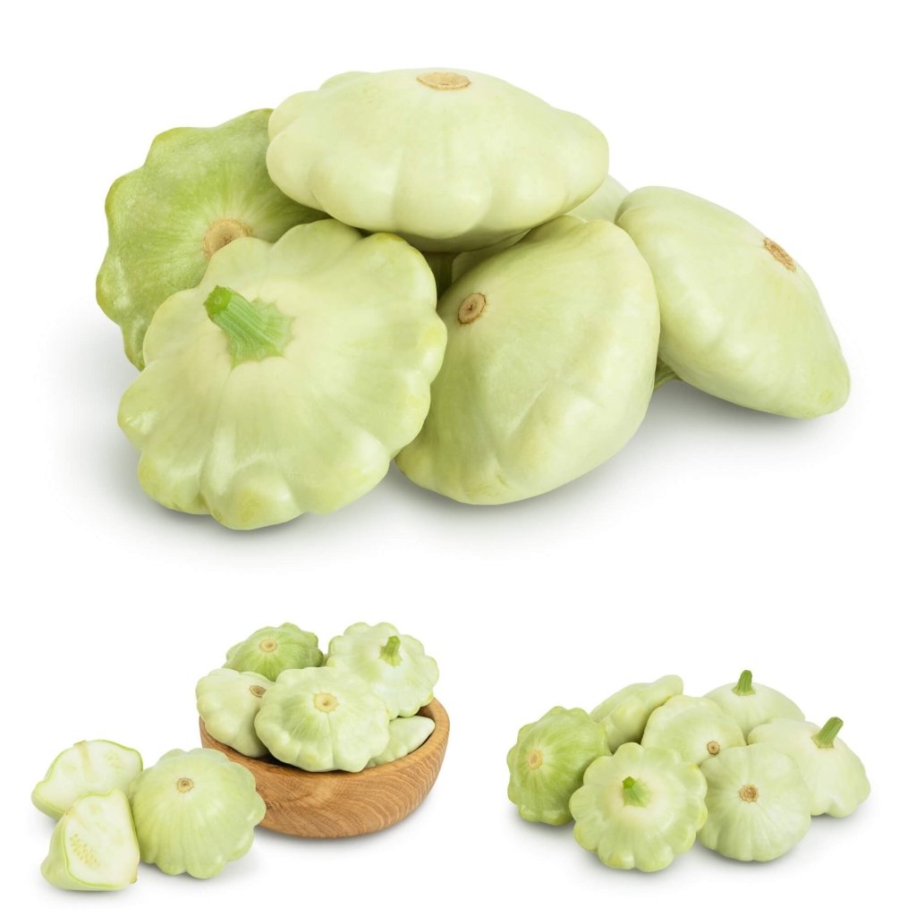 Squash - Scallop Bennings Green Tint seeds - Happy Valley Seeds
