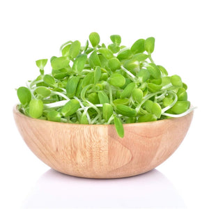 Sunflower Grey seeds (Sprout)