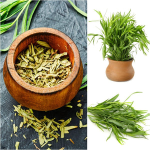 Tarragon - Russian seeds