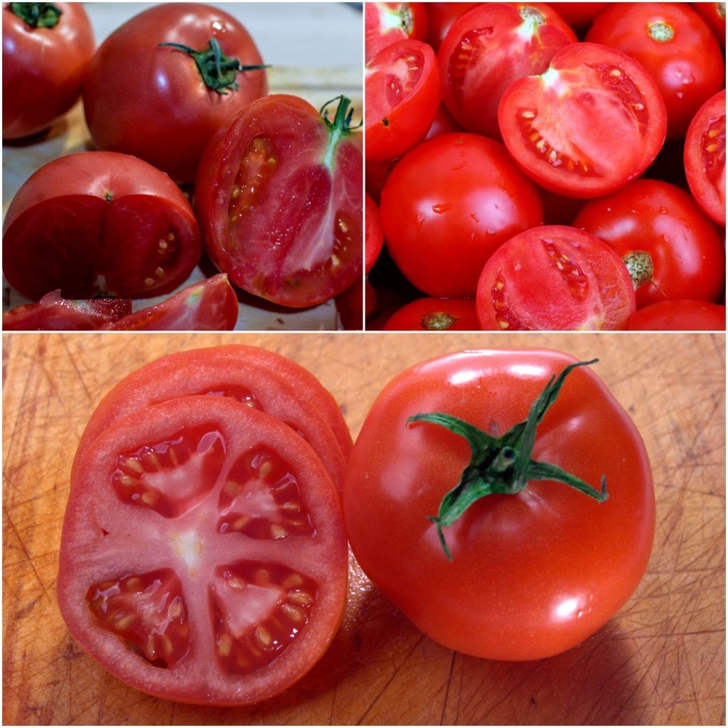 Tomato - Arcadia seeds - Happy Valley Seeds