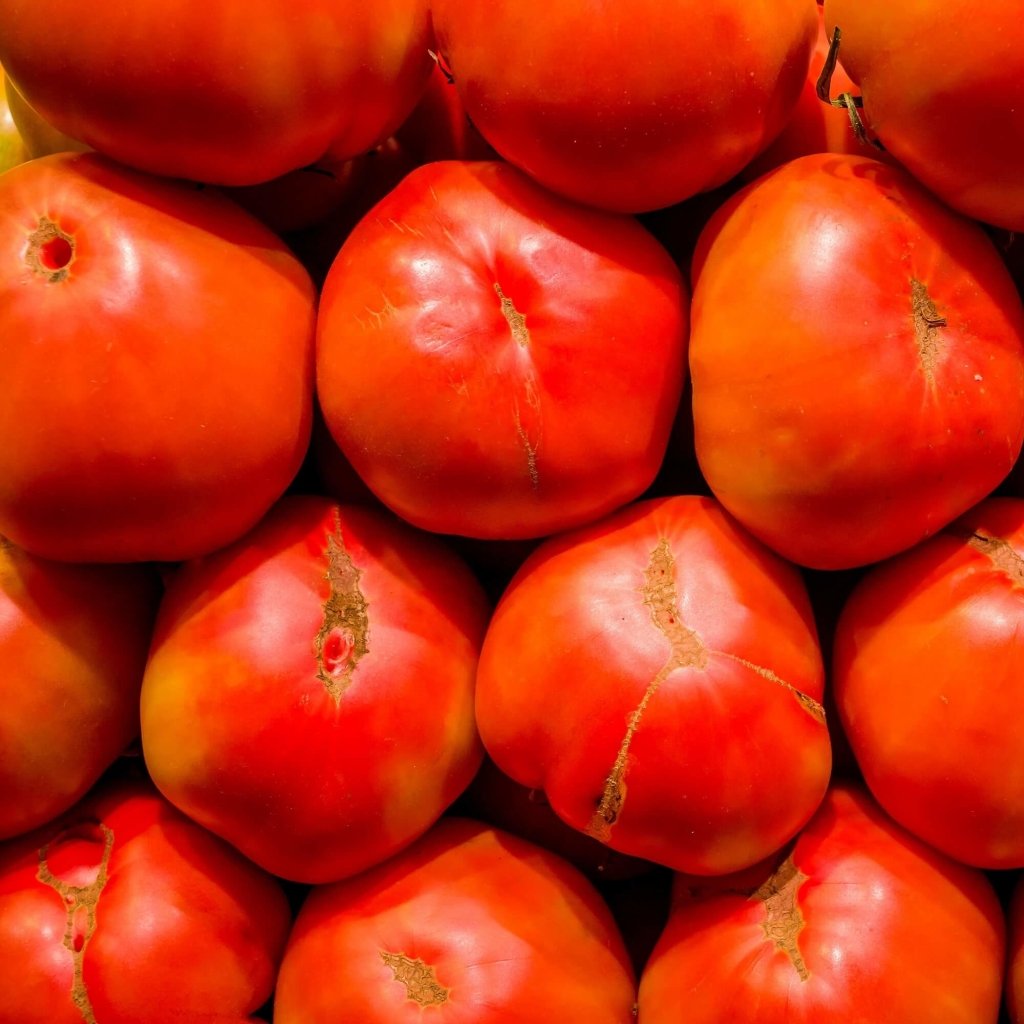 Tomato - Big Boy seeds - Happy Valley Seeds