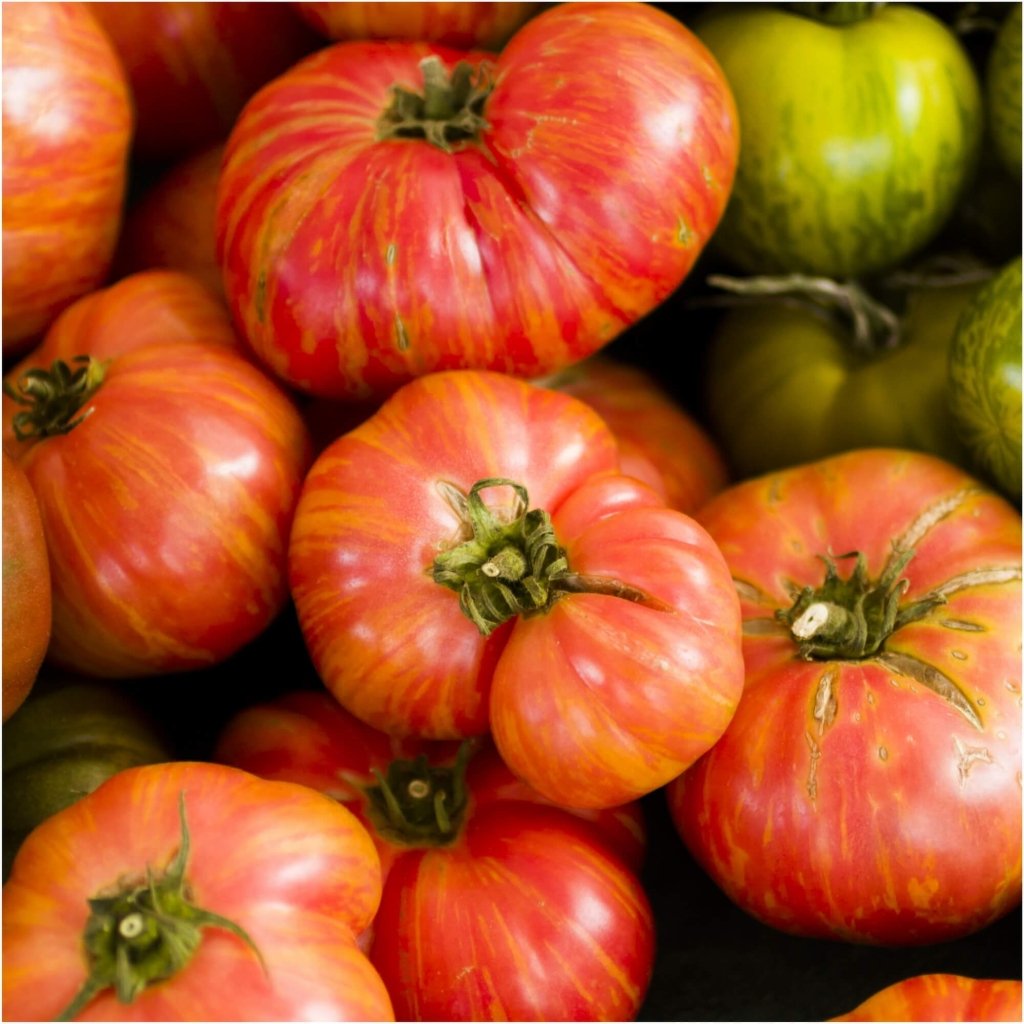 Tomato - Big Rainbow seeds - Happy Valley Seeds