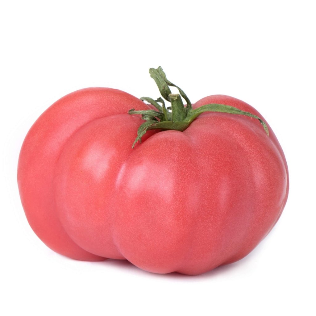 Tomato - Brandywine Pink seeds - Happy Valley Seeds