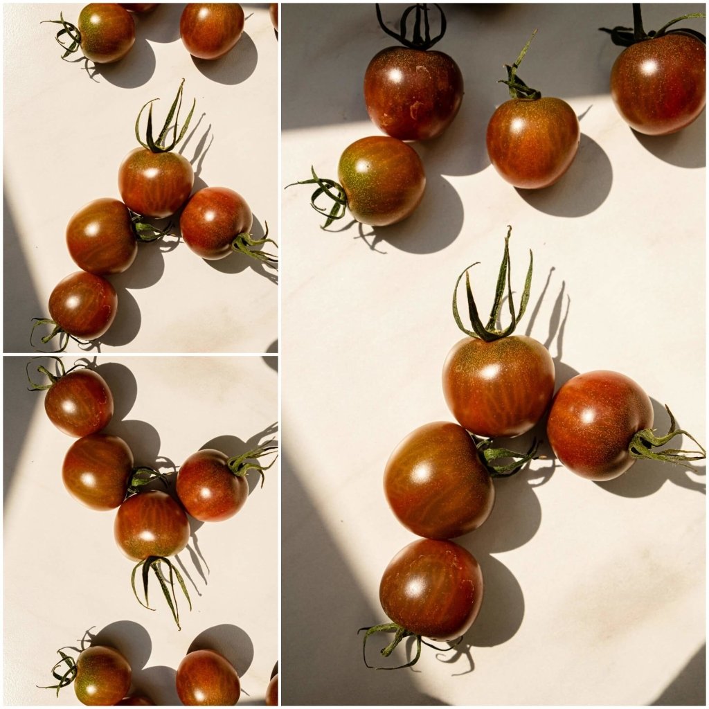 Tomato - Cherry Brown Berry seeds - Happy Valley Seeds
