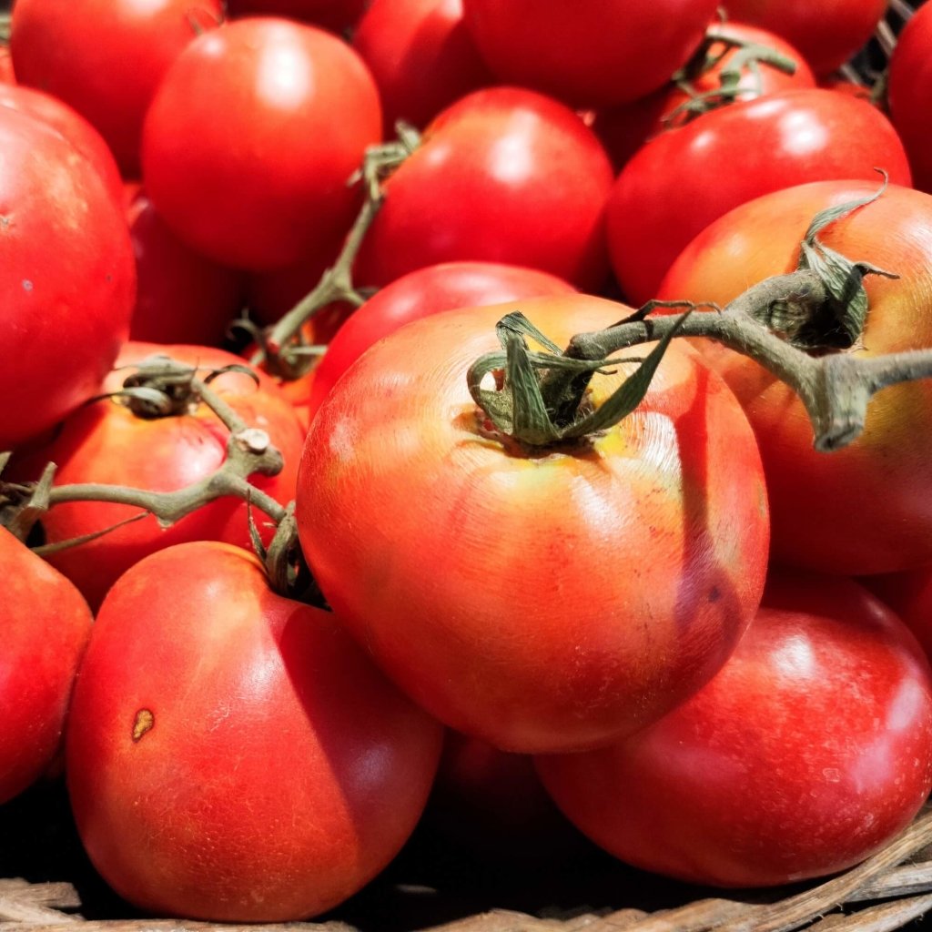 Tomato - Earl's Faux seeds - Happy Valley Seeds