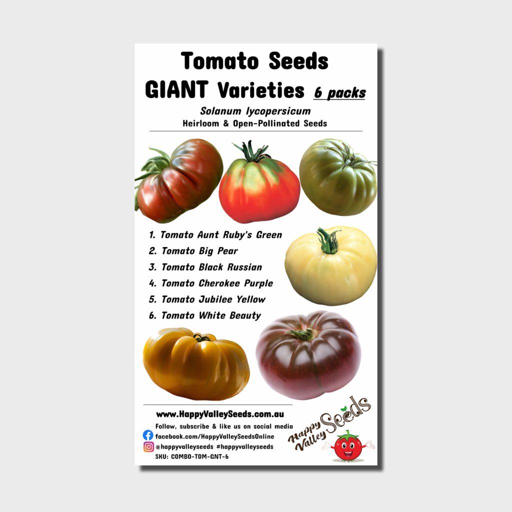 TOMATO GIANT seeds - Assorted 6 Packs - Happy Valley Seeds