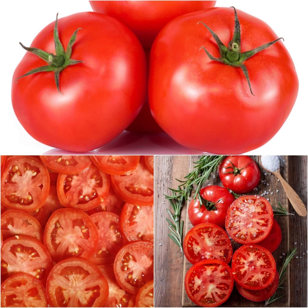 Tomato - Grosse Lisse seeds - Happy Valley Seeds
