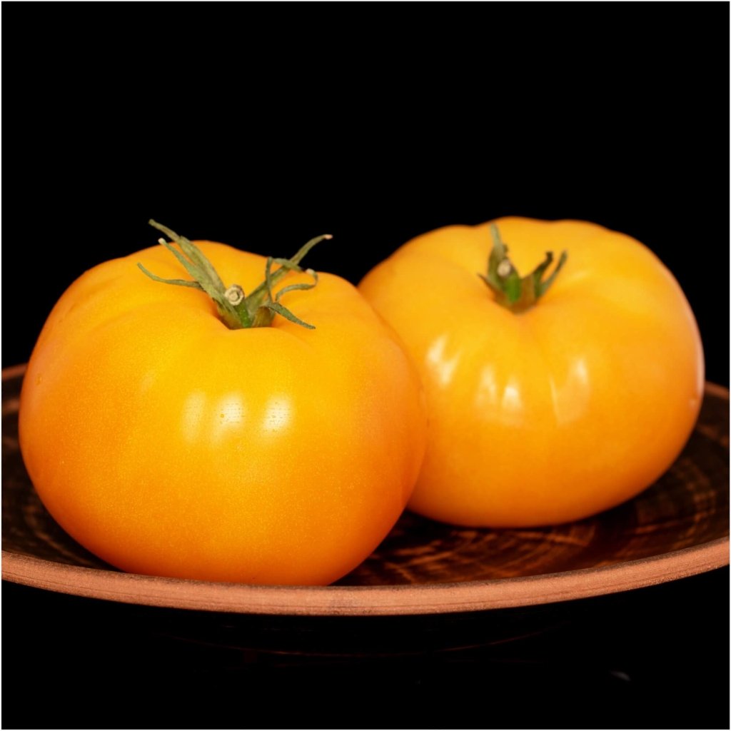Tomato - Mortgage Lifter Yellow seeds - Happy Valley Seeds