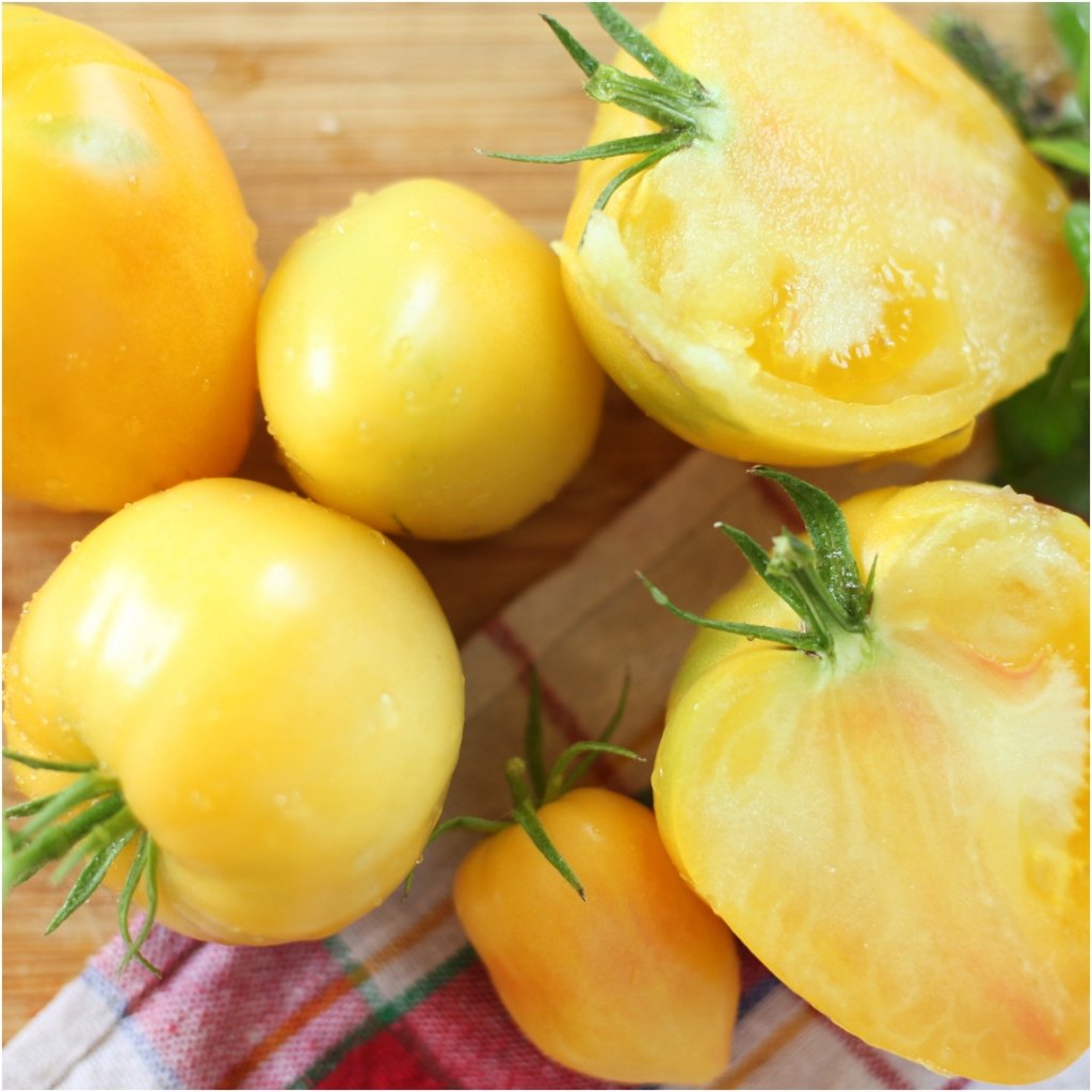 Tomato - Oxheart Yellow seeds - Happy Valley Seeds