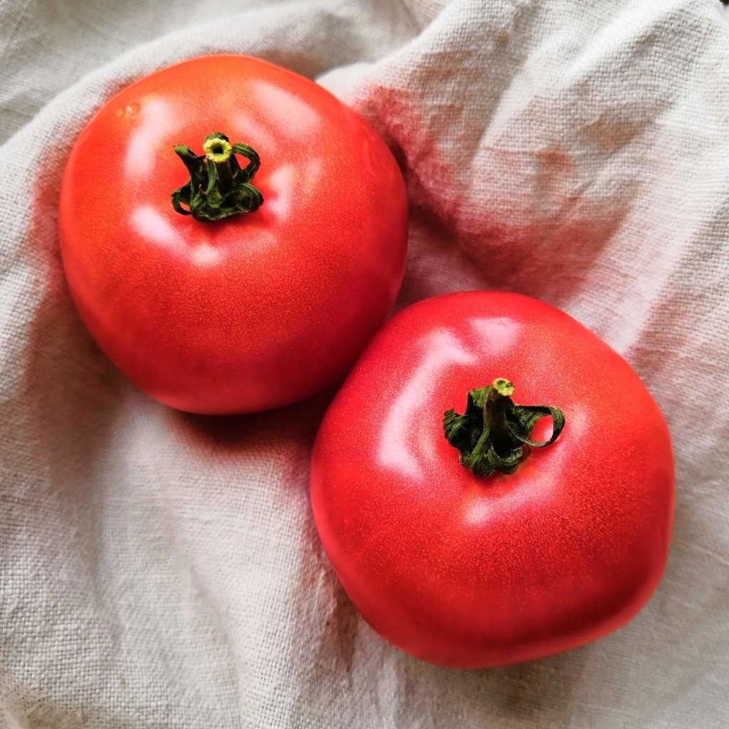 Tomato - Romano Burghanese seeds - Happy Valley Seeds