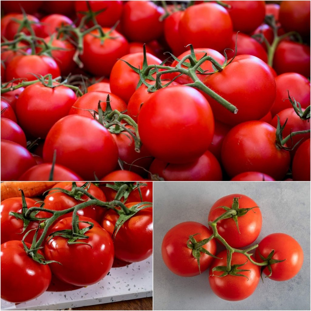 Tomato - Saint Pierre seeds - Happy Valley Seeds