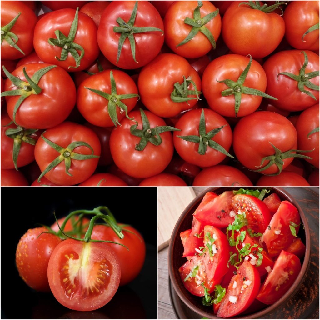 Tomato - Salad Special seeds - Happy Valley Seeds