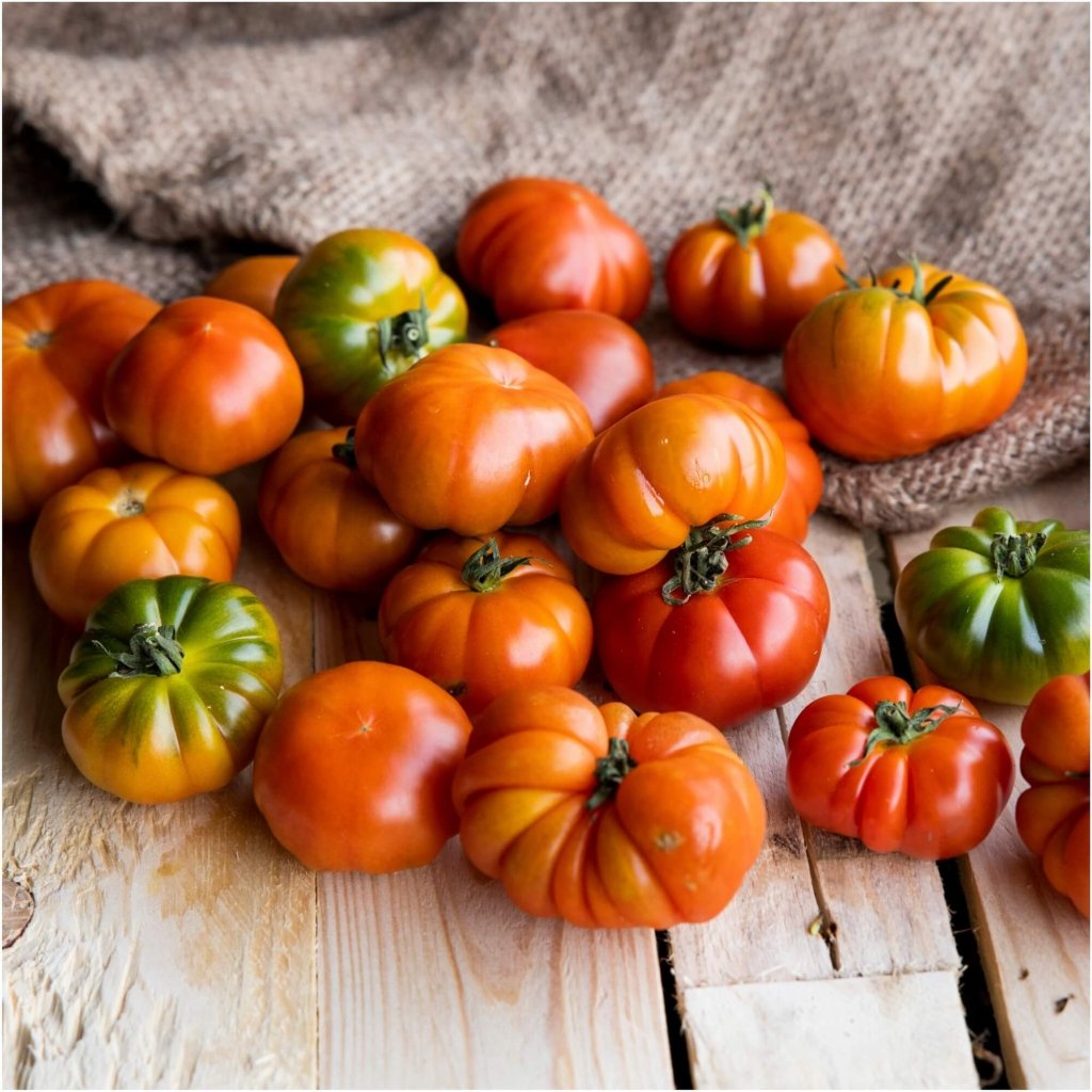 Tomato - Santorini seeds - Happy Valley Seeds