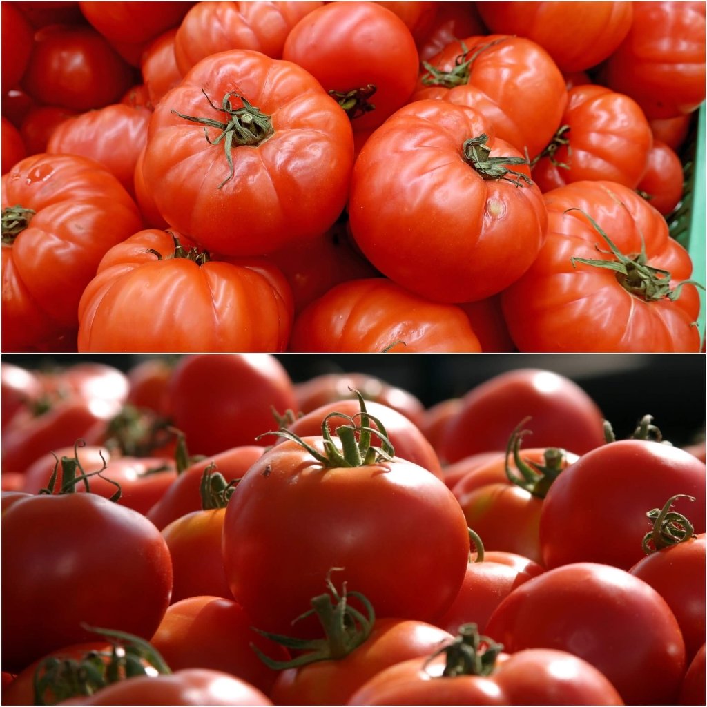 Tomato - Scorseby Dwarf/ KY1 seeds - Happy Valley Seeds