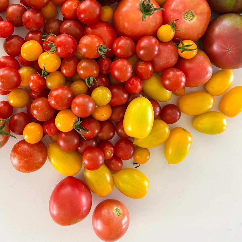 Tomato seeds - Assorted 10 Packs - Happy Valley Seeds