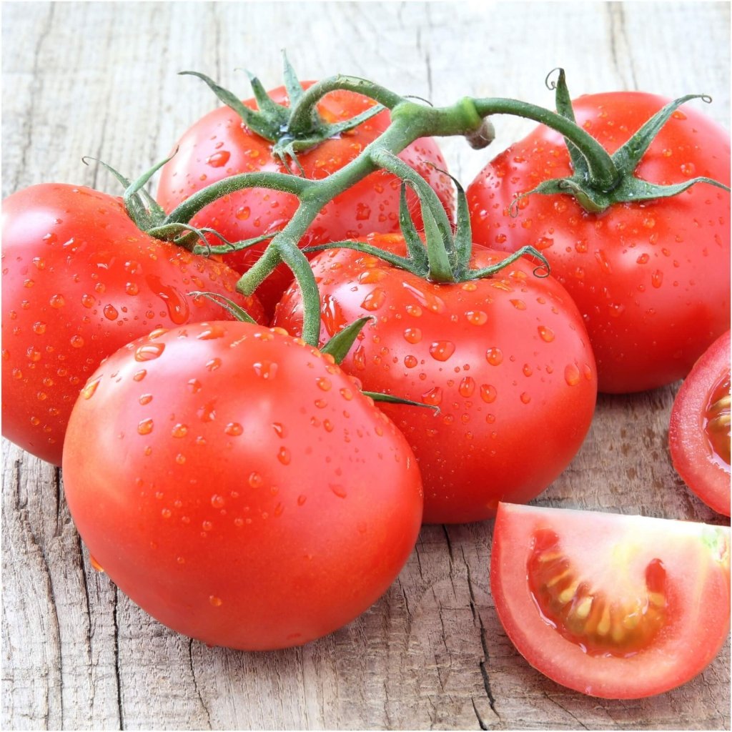 Tomato - Silvery Fir Tree seeds - Happy Valley Seeds