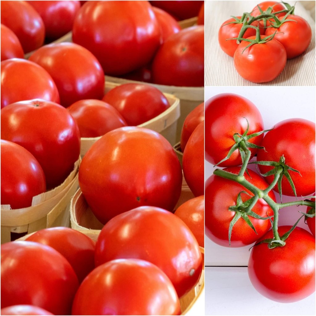 Tomato - Swift seeds - Happy Valley Seeds