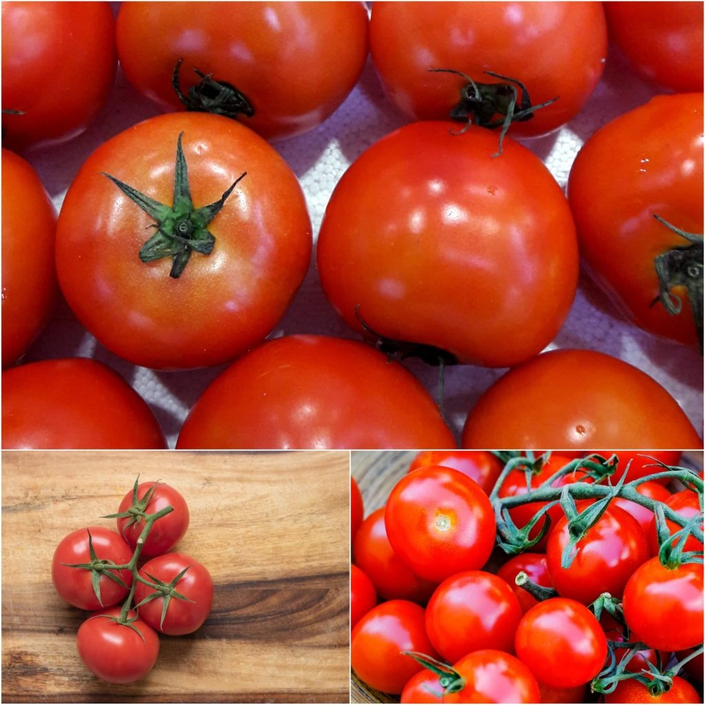 Tomato - Tropic seeds - Happy Valley Seeds